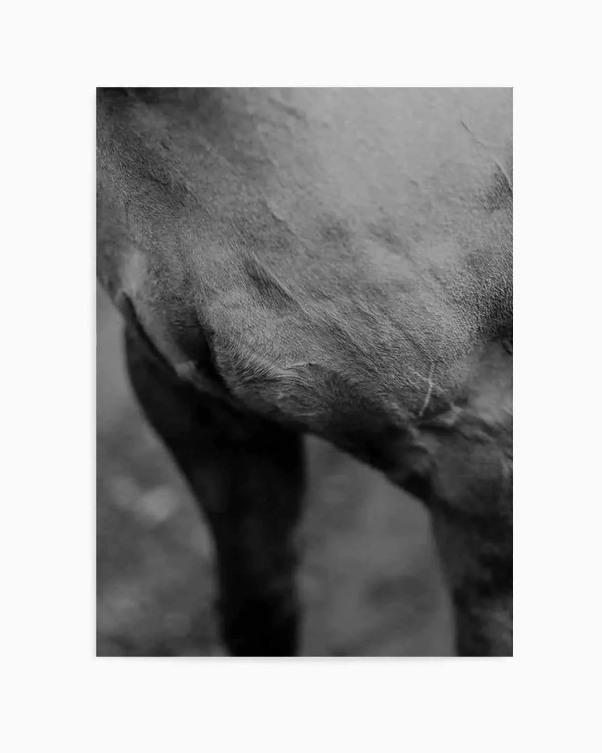 Club Polo II Art Print from Olive et Oriel where you can shop wallpaper and artworks online