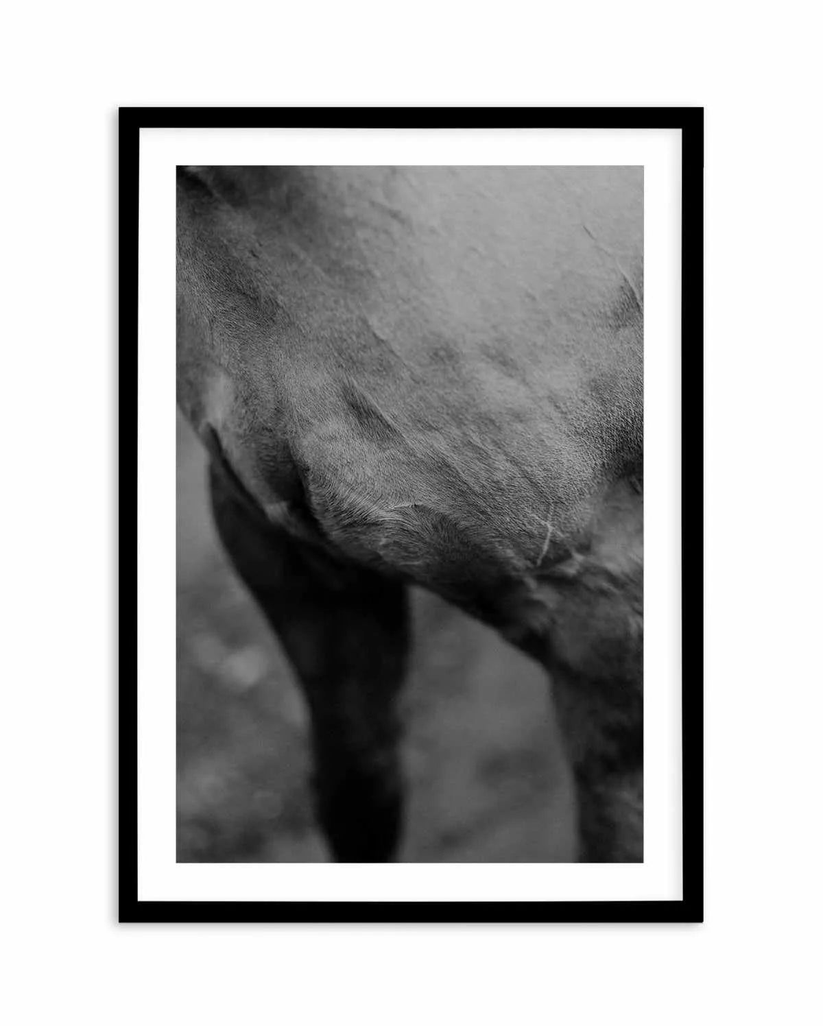 Club Polo II Art Print-PRINT-Olive et Oriel-Olive et Oriel-A5 | 5.8" x 8.3" | 14.8 x 21cm-Black-With White Border-Buy-Australian-Art-Prints-Online-with-Olive-et-Oriel-Your-Artwork-Specialists-Austrailia-Decorate-With-Coastal-Photo-Wall-Art-Prints-From-Our-Beach-House-Artwork-Collection-Fine-Poster-and-Framed-Artwork