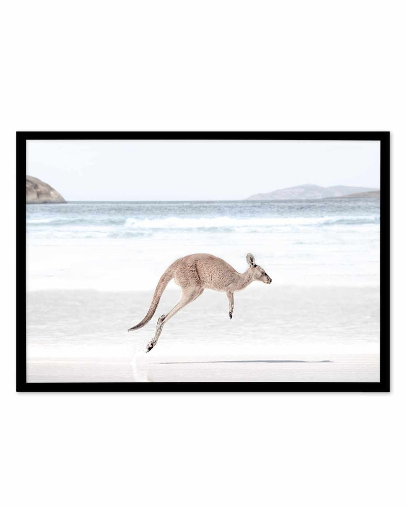 Coastal Beach Kangaroo I Art Print