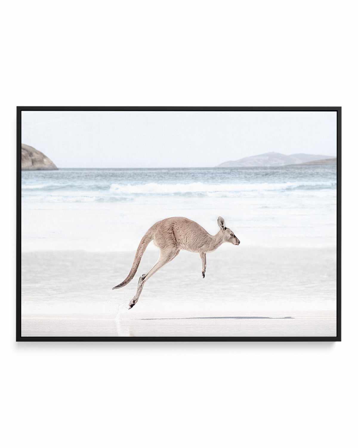 Coastal Beach Kangaroo I | Framed Canvas Art Print