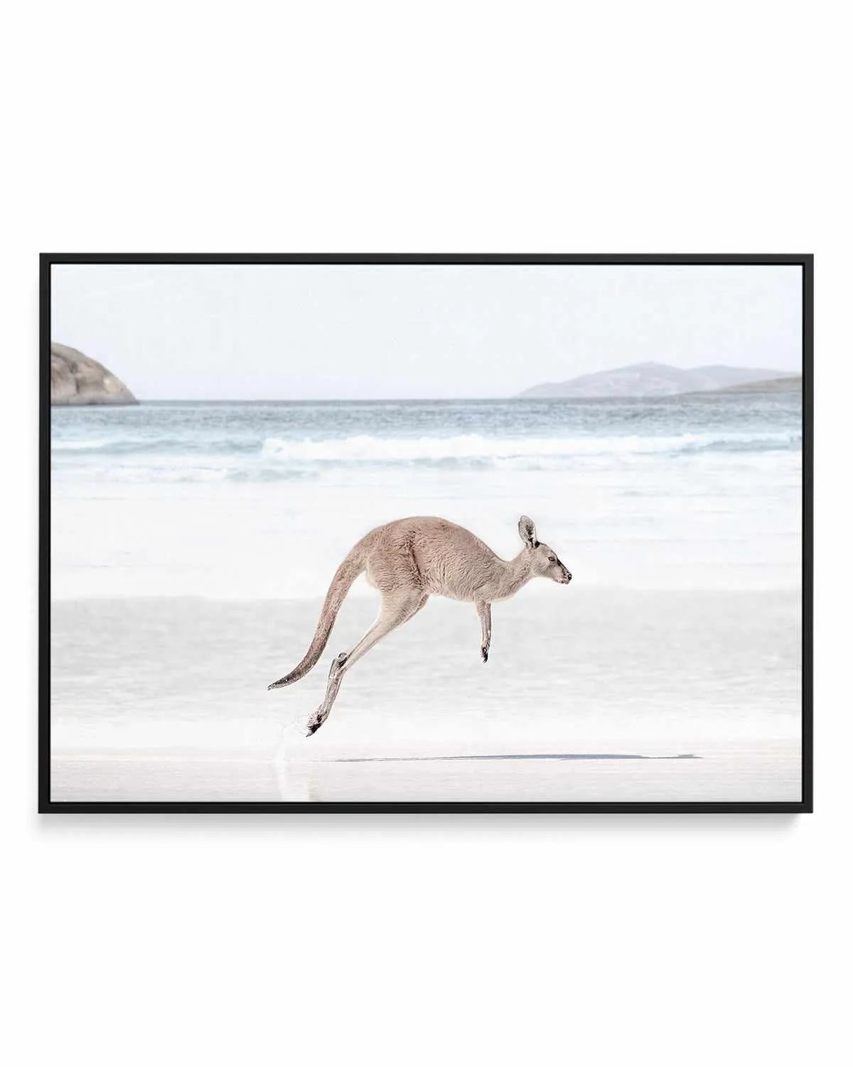 Coastal Beach Kangaroo I | Framed Canvas Art Print from Olive et Oriel where you can shop wallpaper and artworks online
