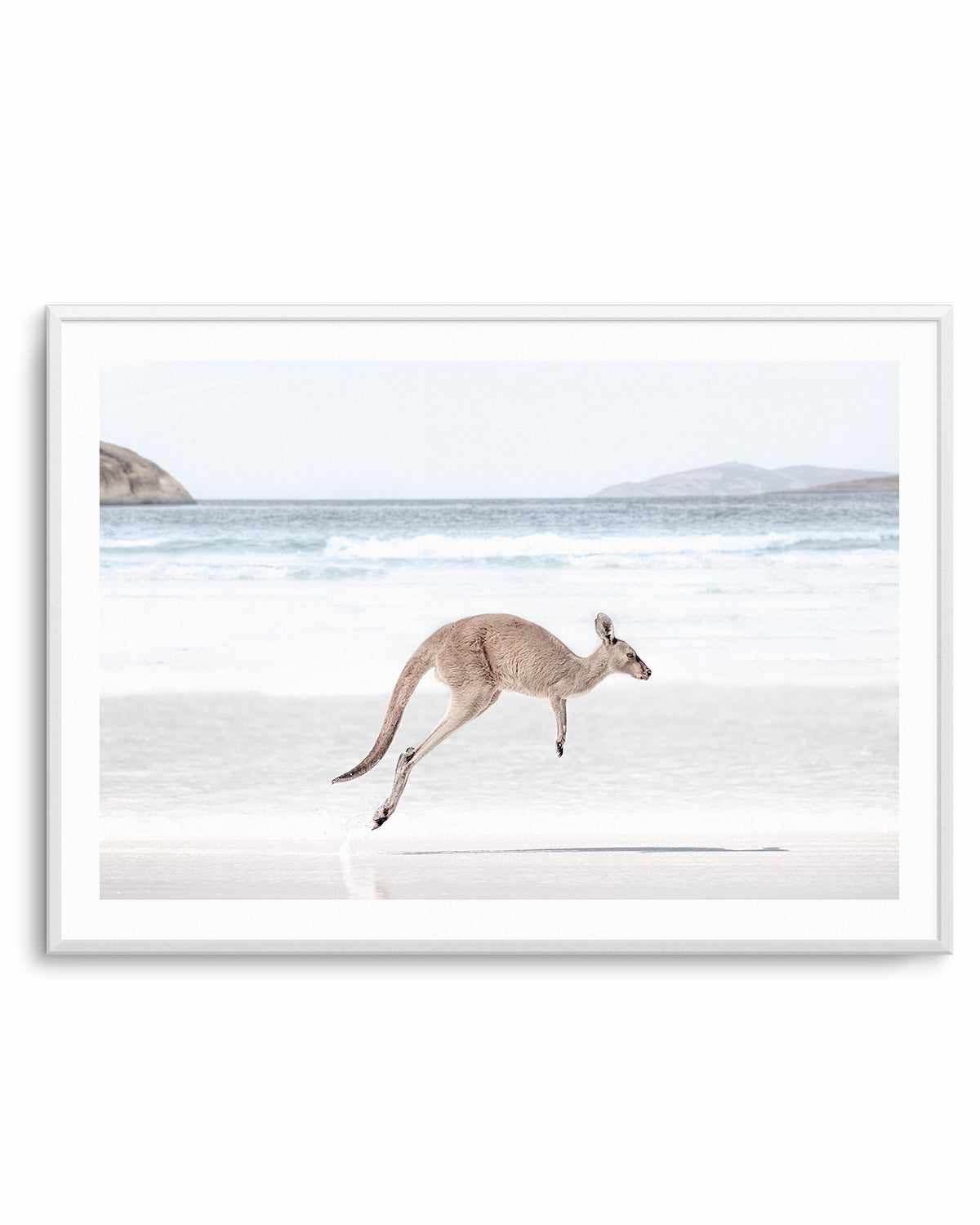 Coastal Beach Kangaroo I Art Print