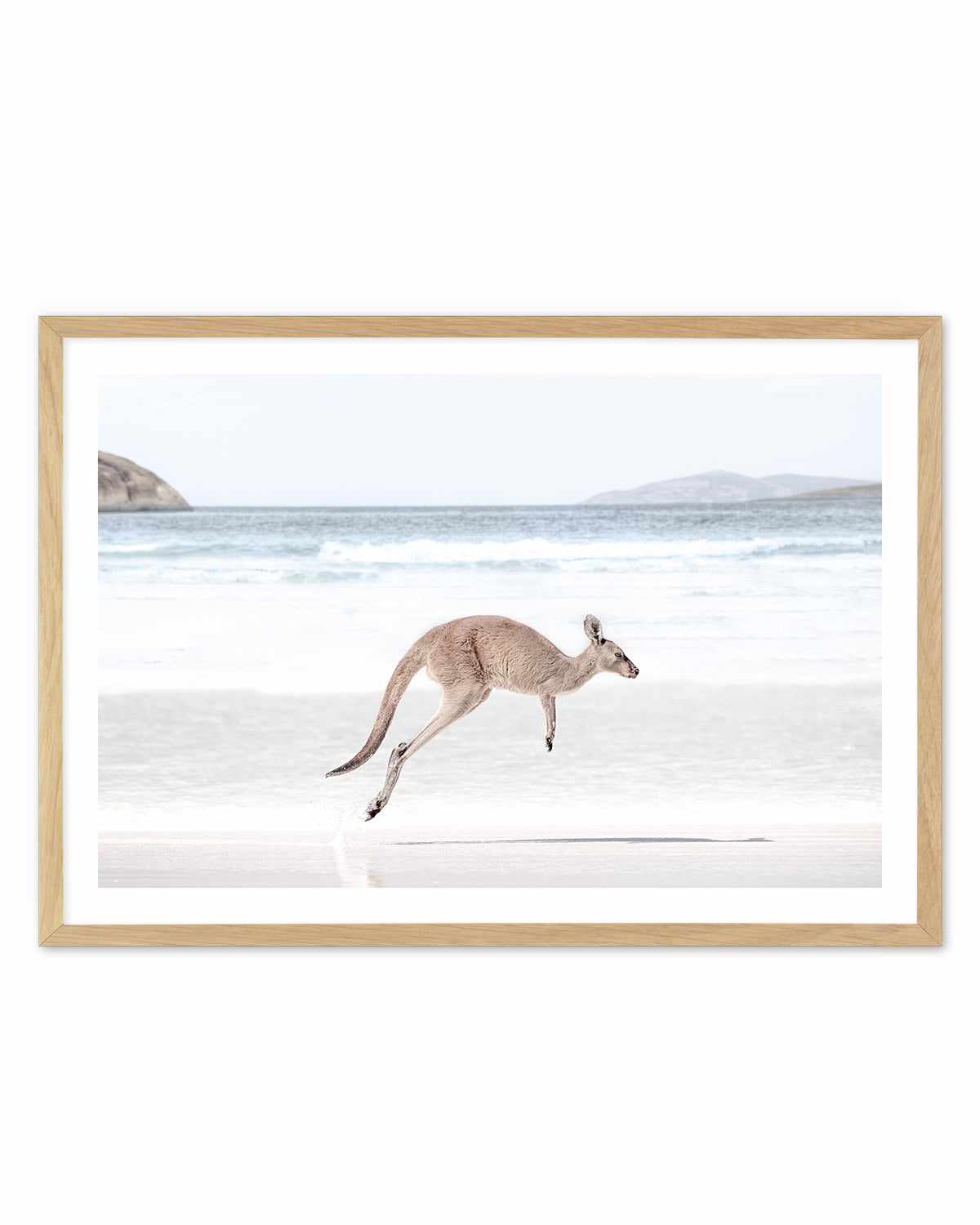 Coastal Beach Kangaroo I Art Print