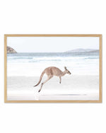 Coastal Beach Kangaroo I Art Print