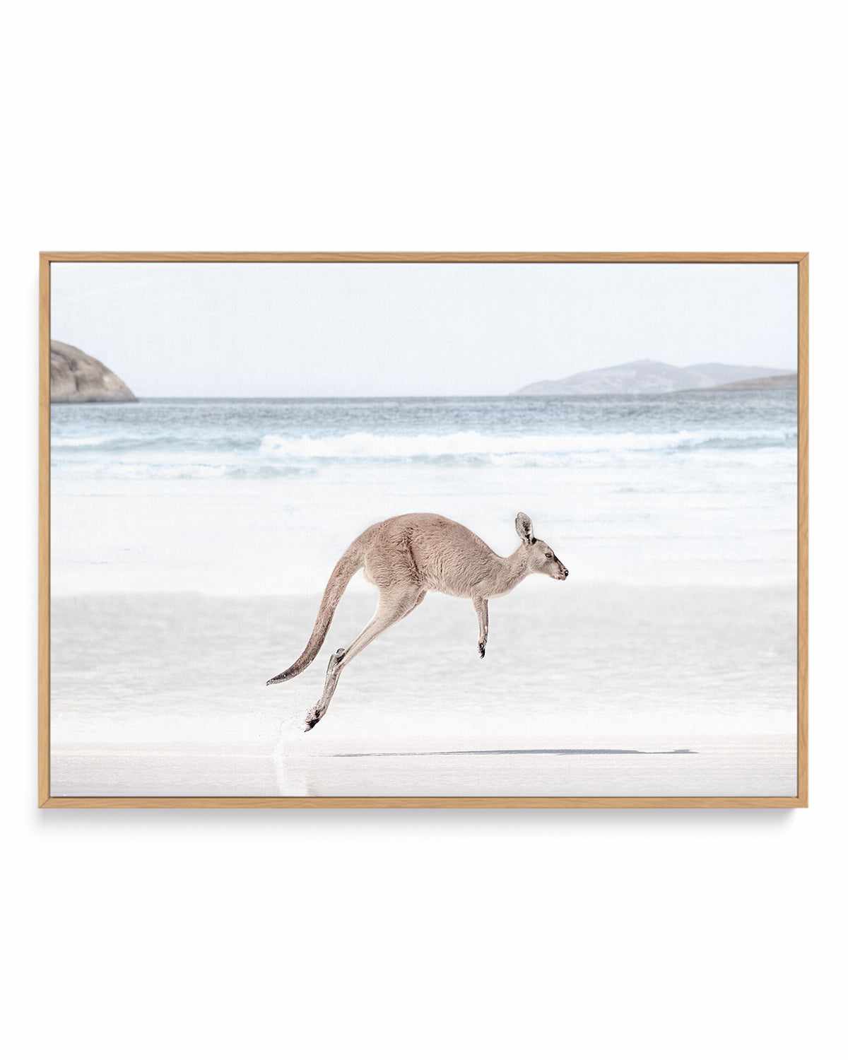 Coastal Beach Kangaroo I | Framed Canvas Art Print