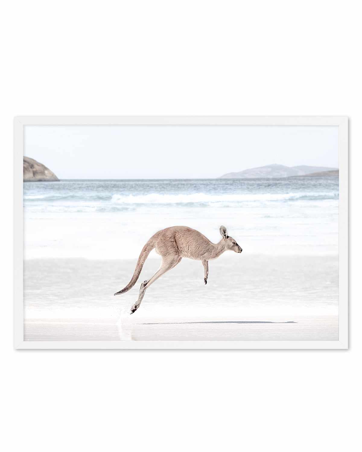 Coastal Beach Kangaroo I Art Print