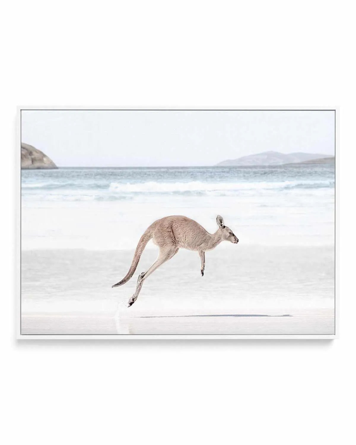 Coastal Beach Kangaroo I | Framed Canvas Art Print from Olive et Oriel where you can shop wallpaper and artworks online