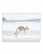 Coastal Beach Kangaroo I | Framed Canvas Art Print