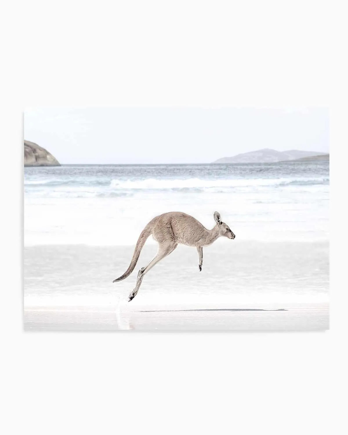 Coastal Beach Kangaroo I Art Print from Olive et Oriel where you can shop wallpaper and artworks online