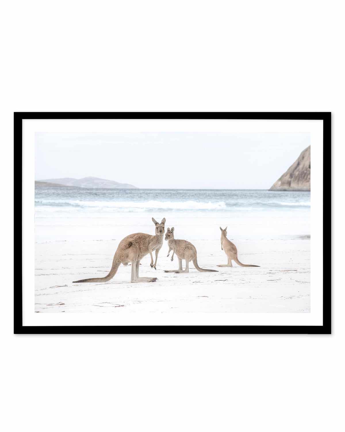 Coastal Beach Kangaroo II Art Print