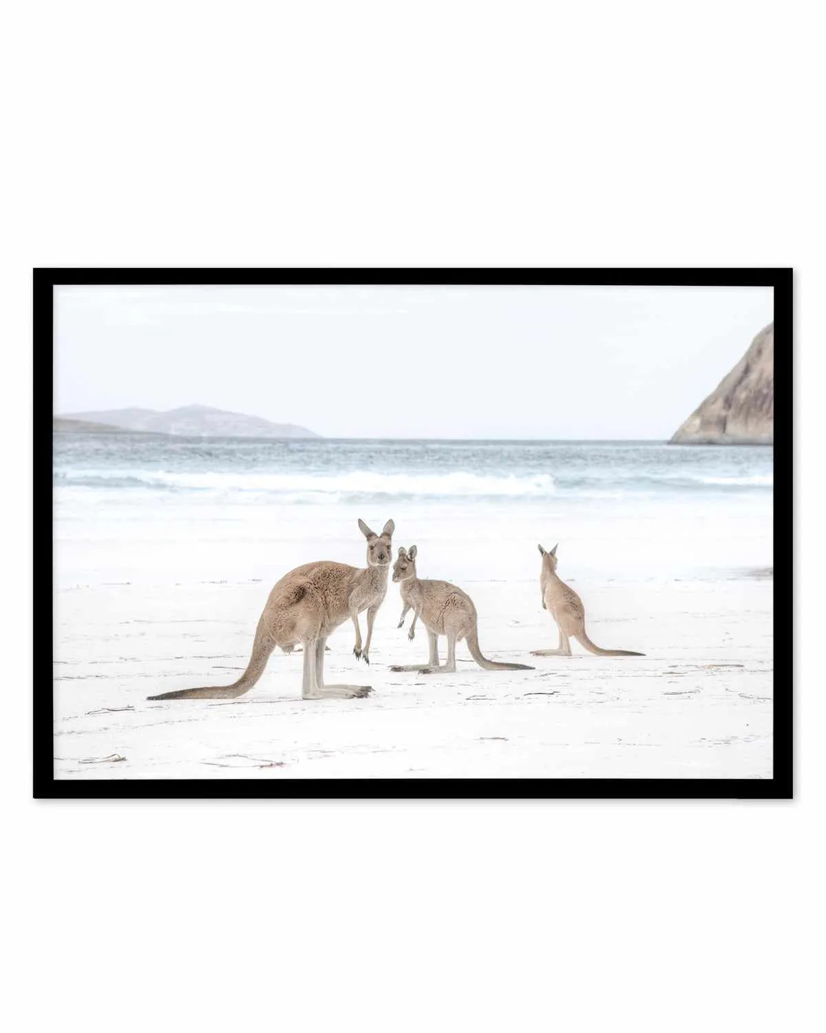 Coastal Beach Kangaroo II Art Print from Olive et Oriel where you can shop wallpaper and artworks online