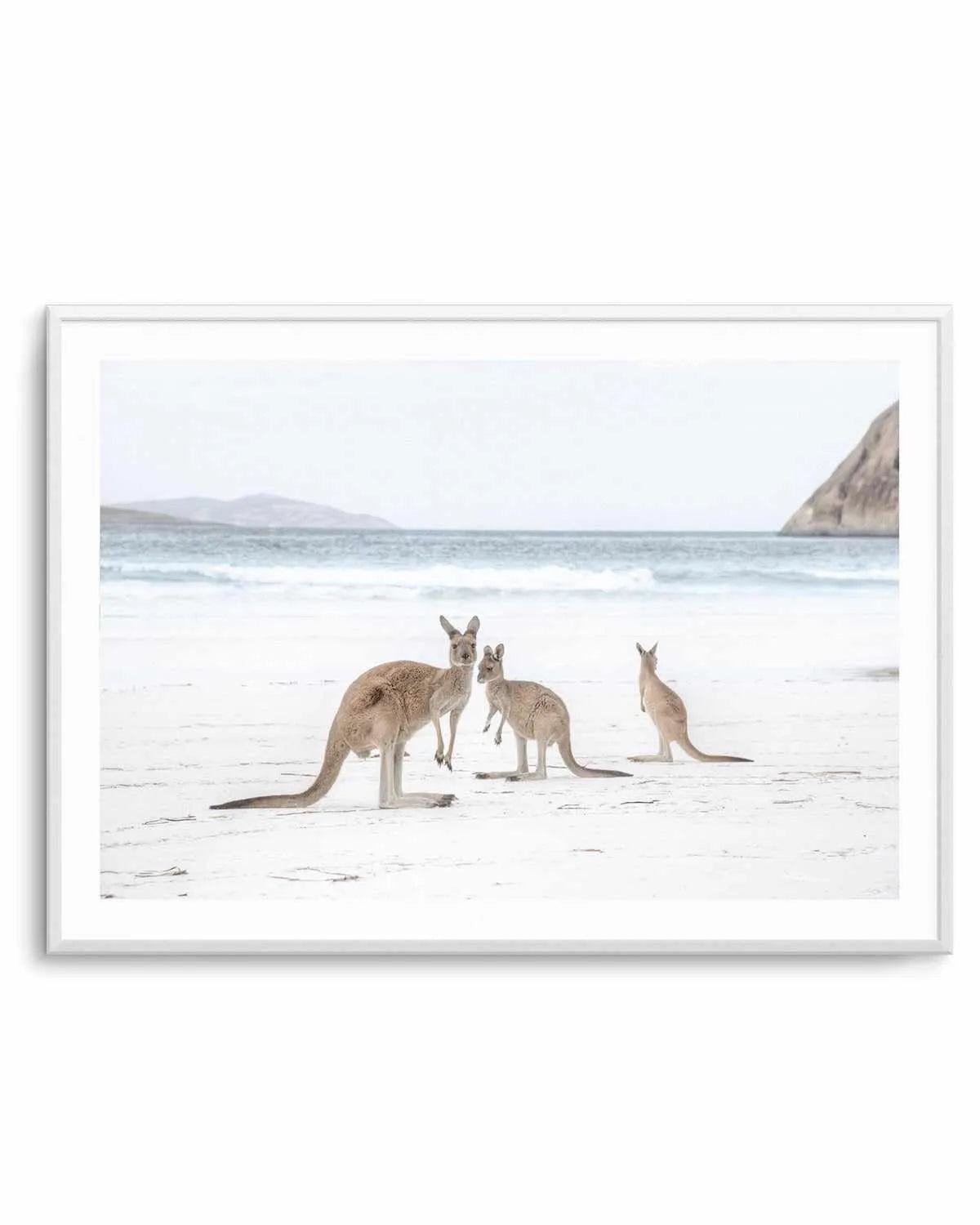 Coastal Beach Kangaroo II Art Print from Olive et Oriel where you can shop wallpaper and artworks online