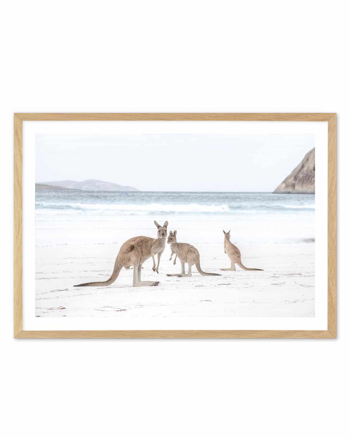 Coastal Beach Kangaroo II Art Print