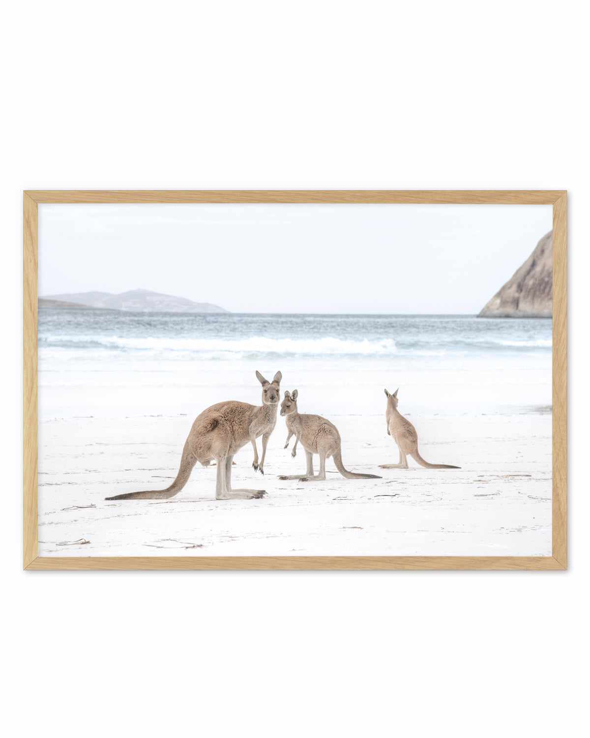 Coastal Beach Kangaroo II Art Print