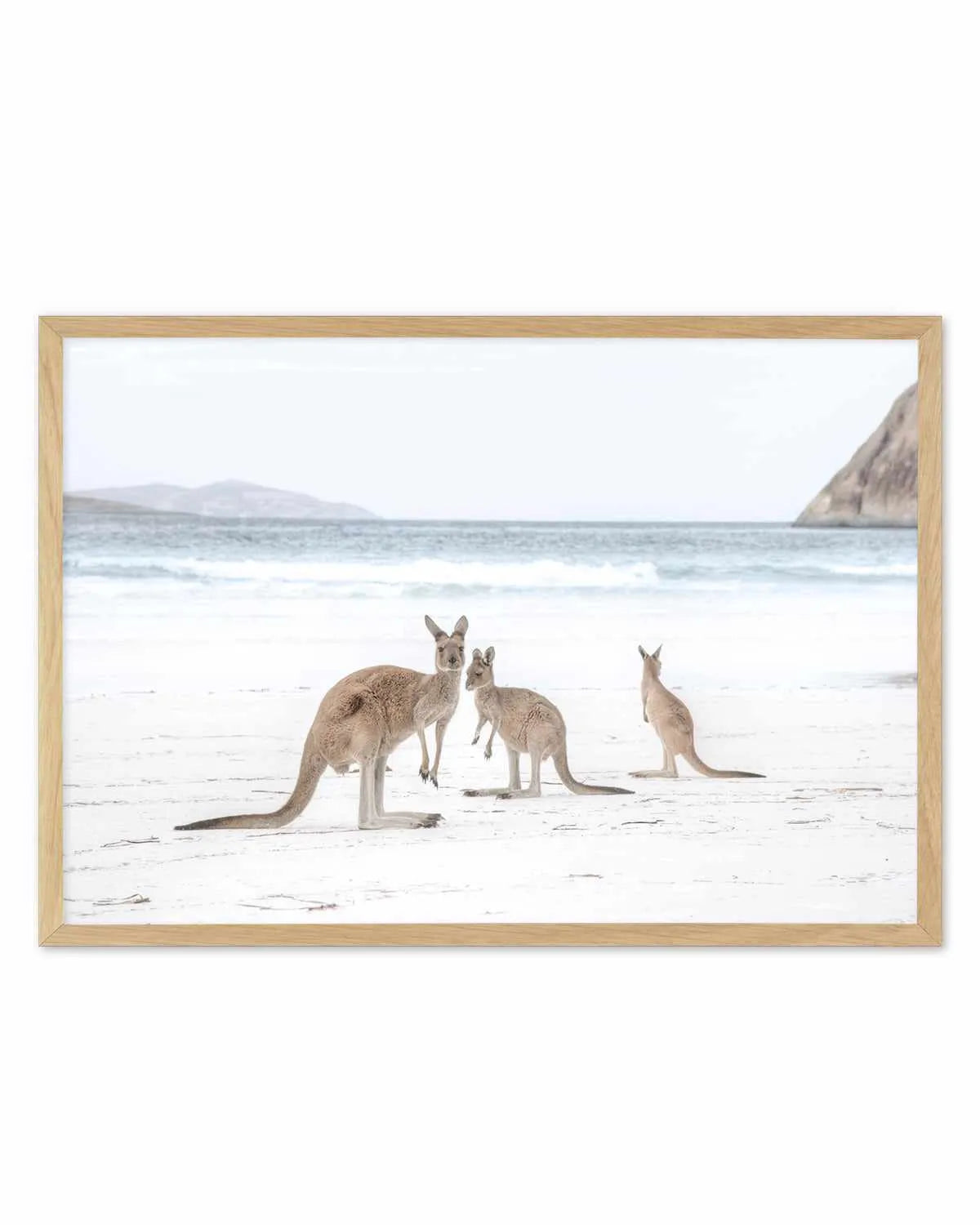Coastal Beach Kangaroo II Art Print from Olive et Oriel where you can shop wallpaper and artworks online