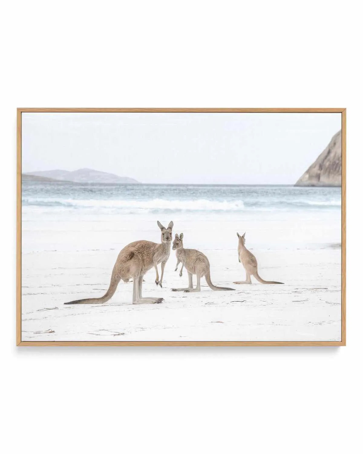 Coastal Beach Kangaroo II | Framed Canvas Art Print from Olive et Oriel where you can shop wallpaper and artworks online