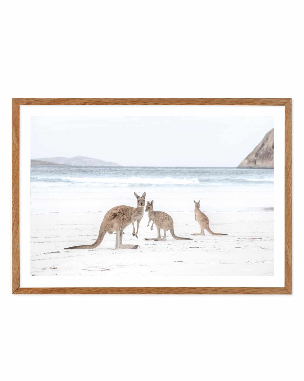 Coastal Beach Kangaroo II Art Print