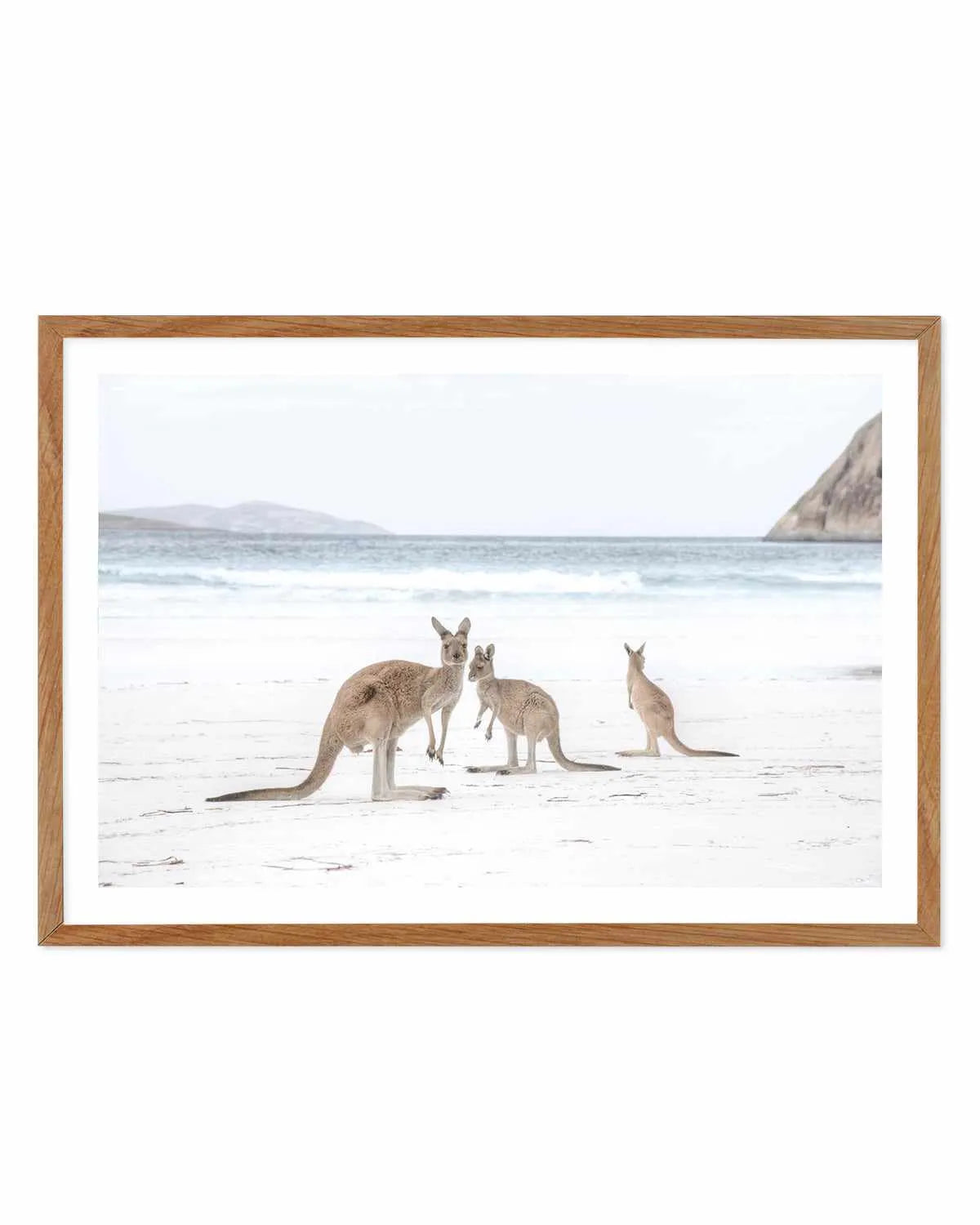 Coastal Beach Kangaroo II Art Print from Olive et Oriel where you can shop wallpaper and artworks online