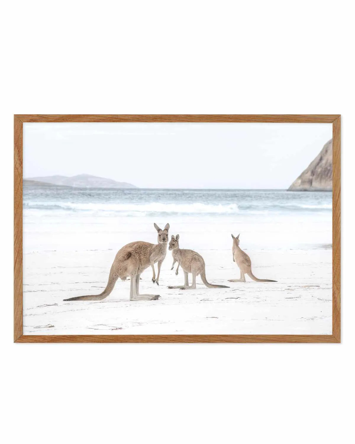 Coastal Beach Kangaroo II Art Print from Olive et Oriel where you can shop wallpaper and artworks online