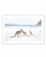 Coastal Beach Kangaroo II Art Print