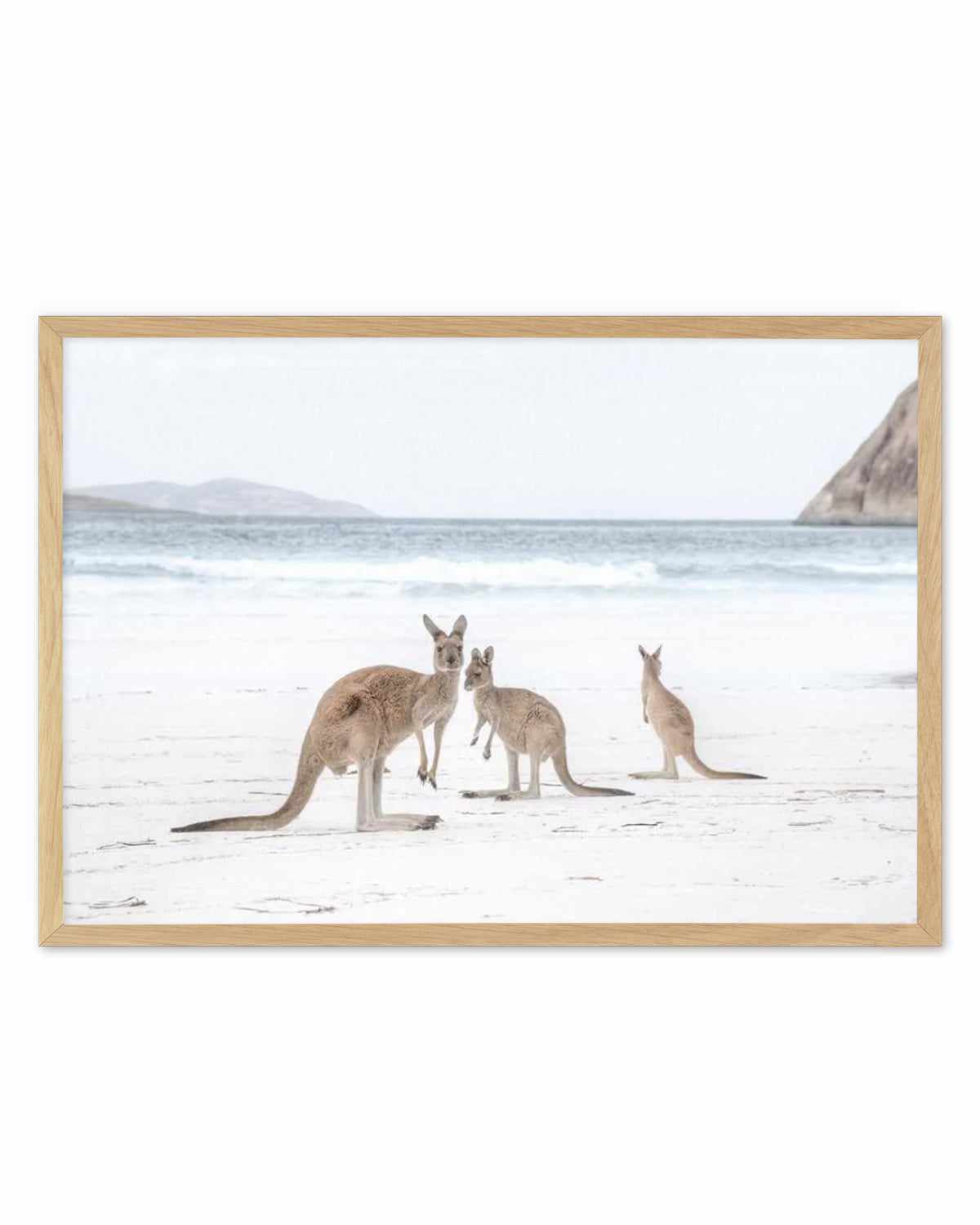 Coastal Beach Kangaroo II Art Print