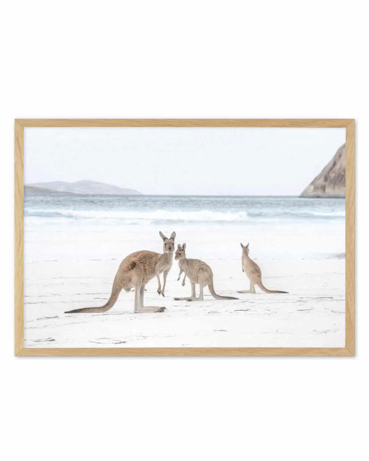 Coastal Beach Kangaroo II Art Print from Olive et Oriel where you can shop wallpaper and artworks online