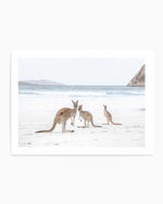 Coastal Beach Kangaroo II Art Print