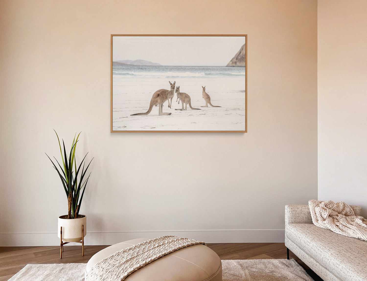 Coastal Beach Kangaroo II | Framed Canvas Art Print