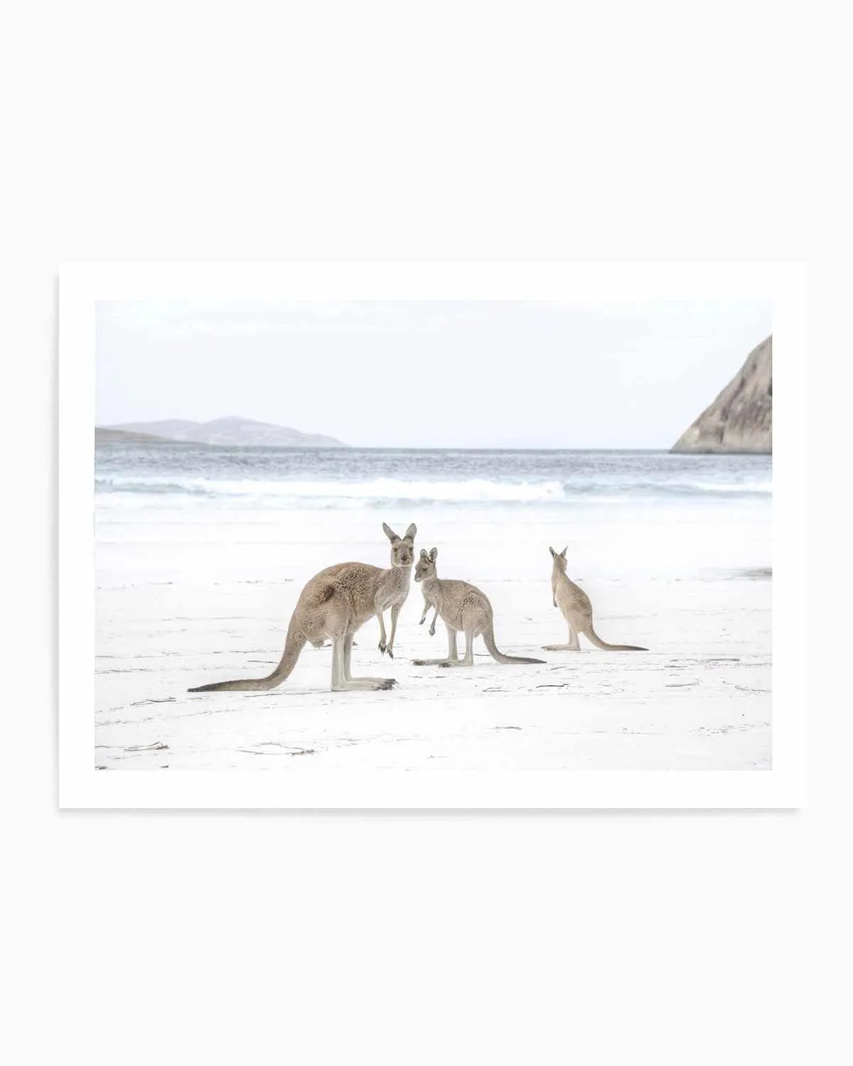 Coastal Beach Kangaroo II Art Print from Olive et Oriel where you can shop wallpaper and artworks online