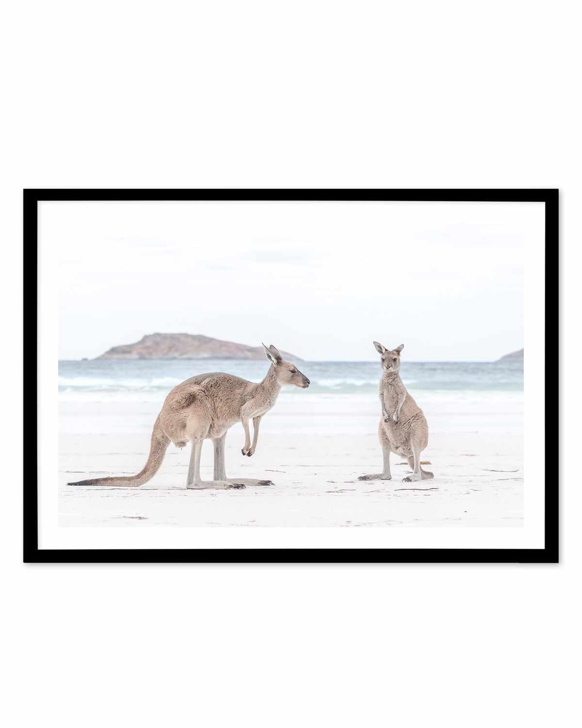 Coastal Beach Kangaroo III Art Print