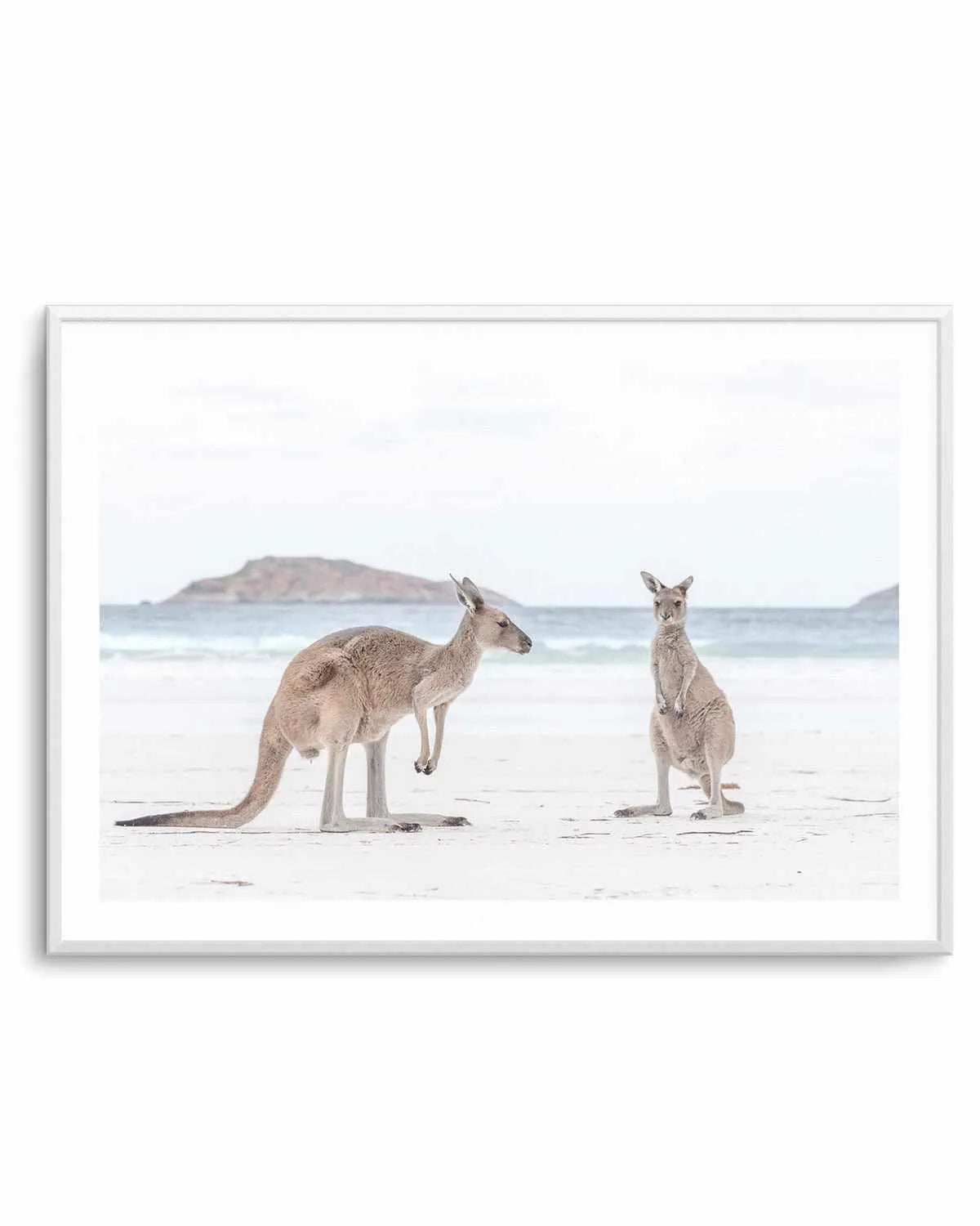 Coastal Beach Kangaroo III Art Print from Olive et Oriel where you can shop wallpaper and artworks online