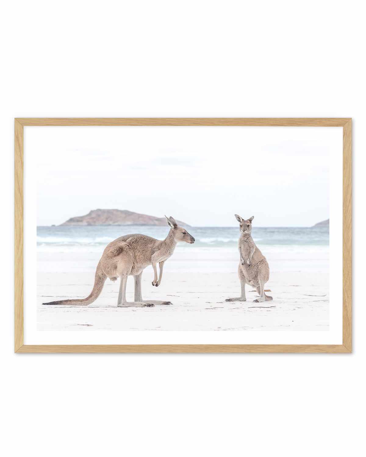 Coastal Beach Kangaroo III Art Print