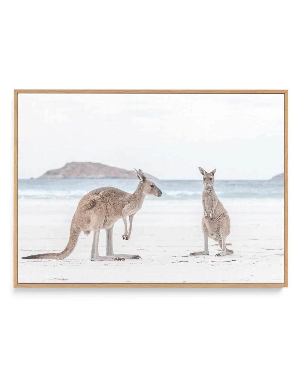 Coastal Beach Kangaroo III | Framed Canvas Art Print from Olive et Oriel where you can shop wallpaper and artworks online
