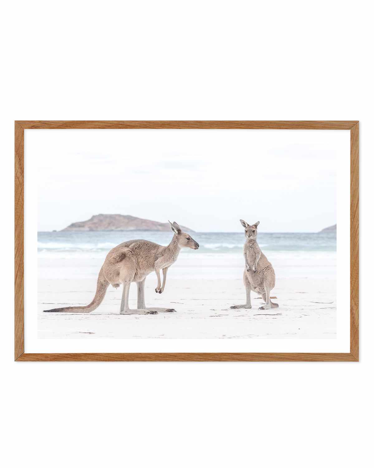 Coastal Beach Kangaroo III Art Print