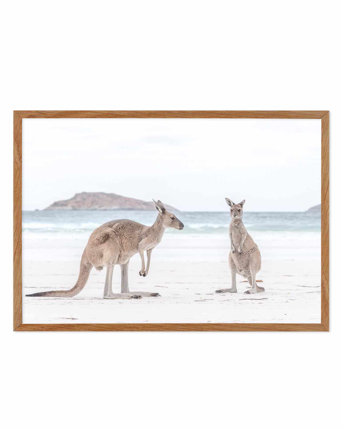 Coastal Beach Kangaroo III Art Print