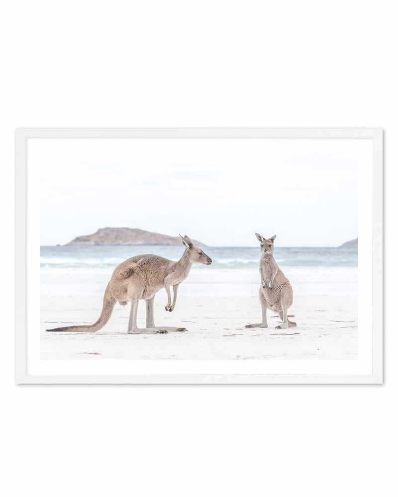 Coastal Beach Kangaroo III Art Print