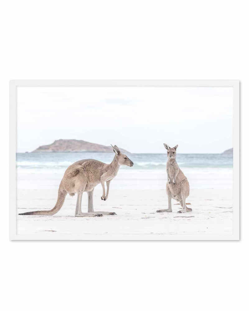 Coastal Beach Kangaroo III Art Print