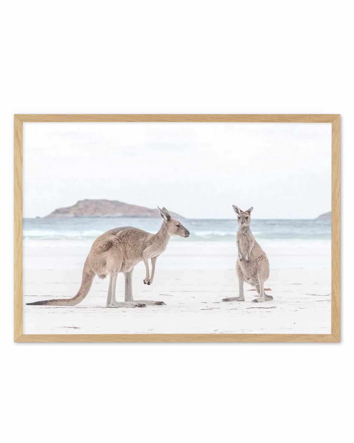 Coastal Beach Kangaroo III Art Print