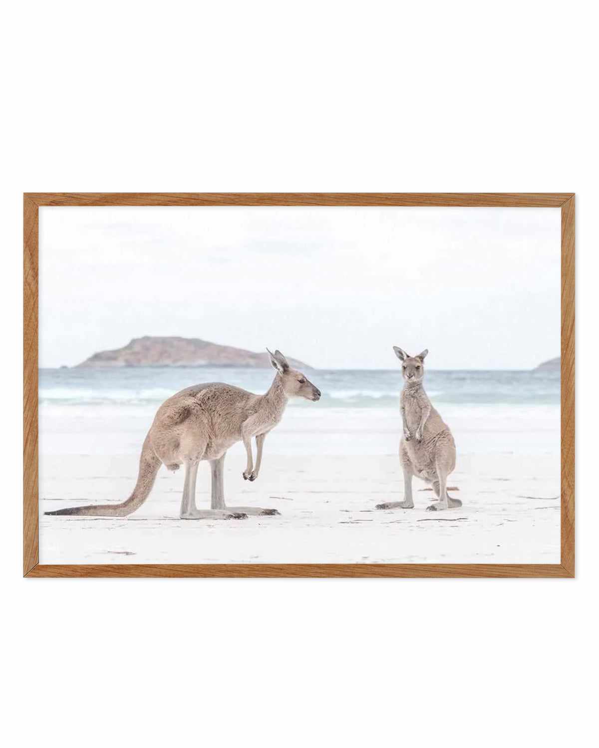 Coastal Beach Kangaroo III Art Print