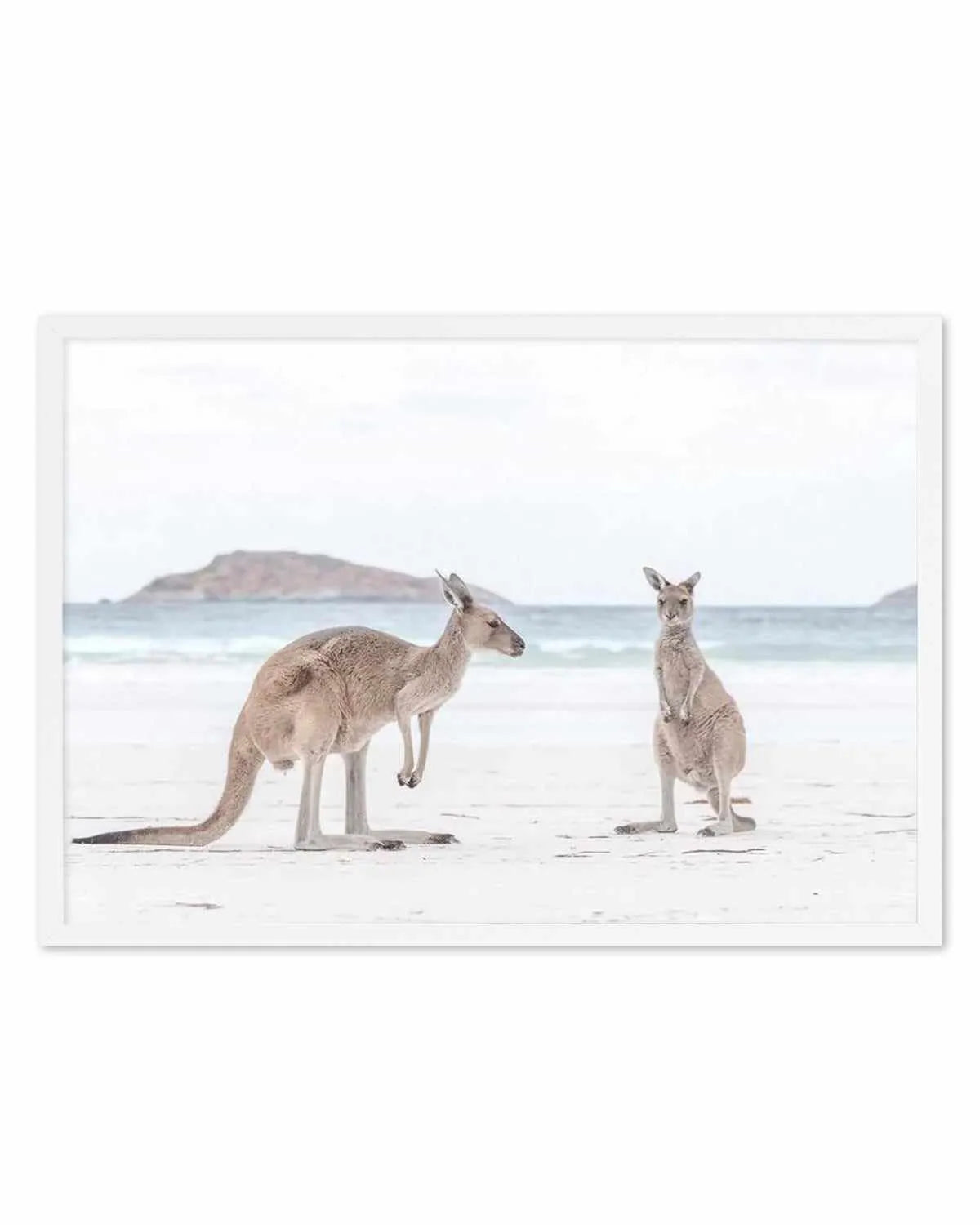 Coastal Beach Kangaroo III Art Print from Olive et Oriel where you can shop wallpaper and artworks online
