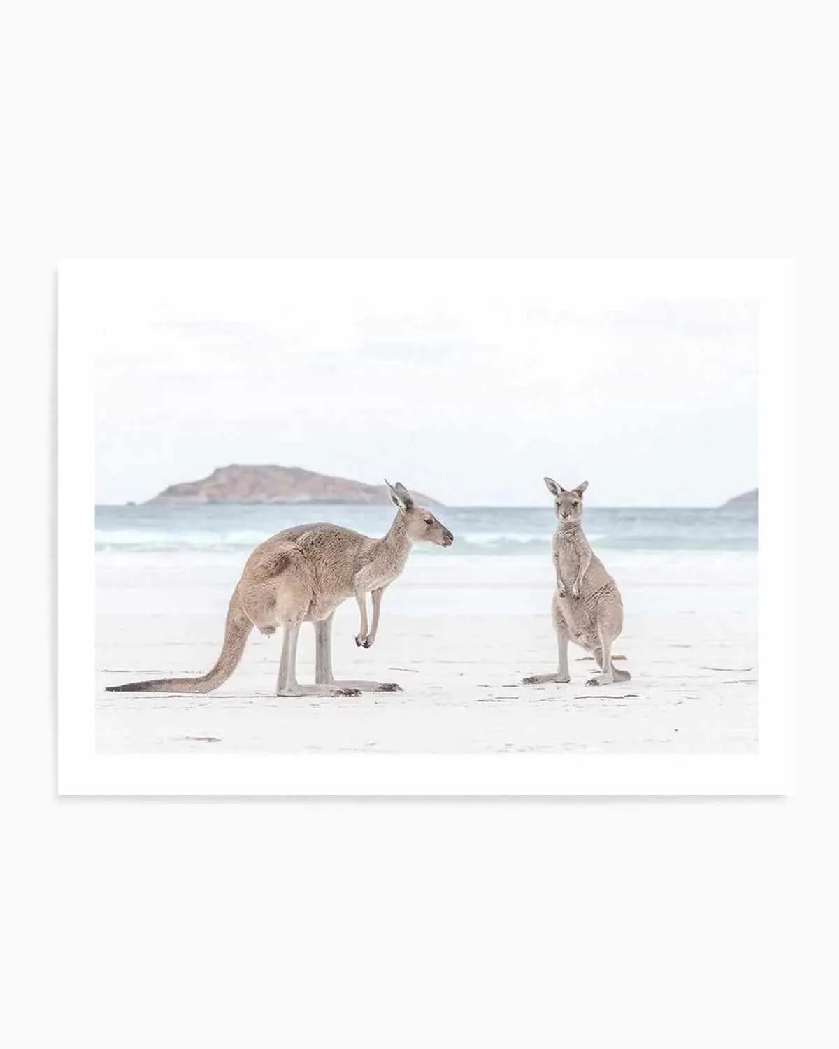 Coastal Beach Kangaroo III Art Print from Olive et Oriel where you can shop wallpaper and artworks online