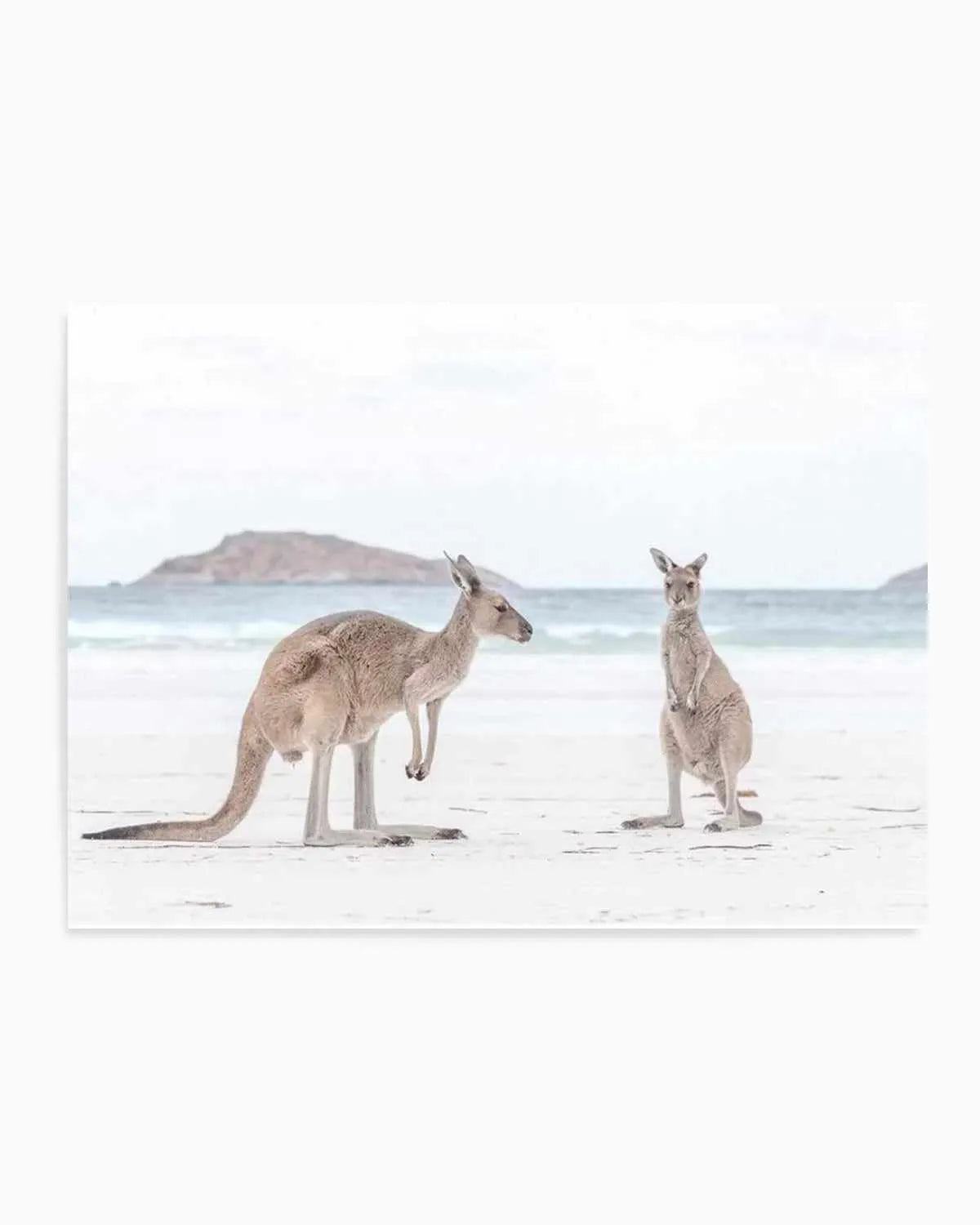 Coastal Beach Kangaroo III Art Print from Olive et Oriel where you can shop wallpaper and artworks online