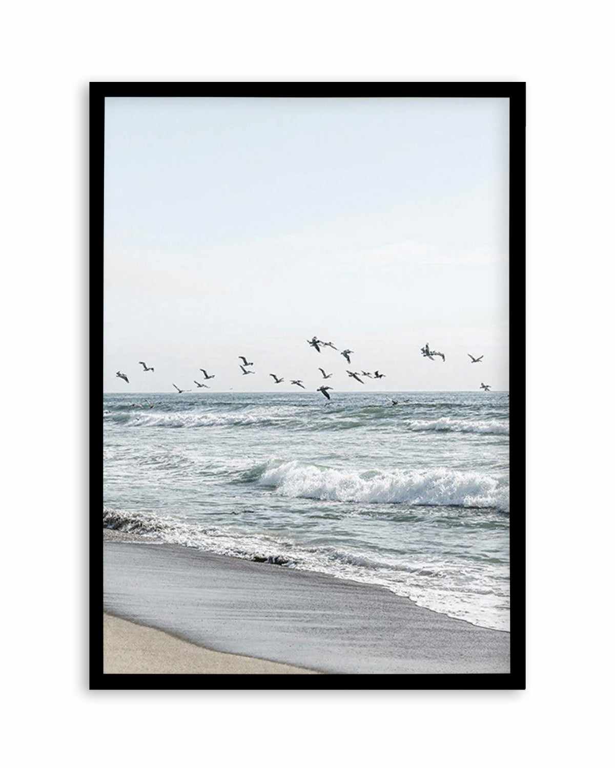 Coastal Birds Art Print