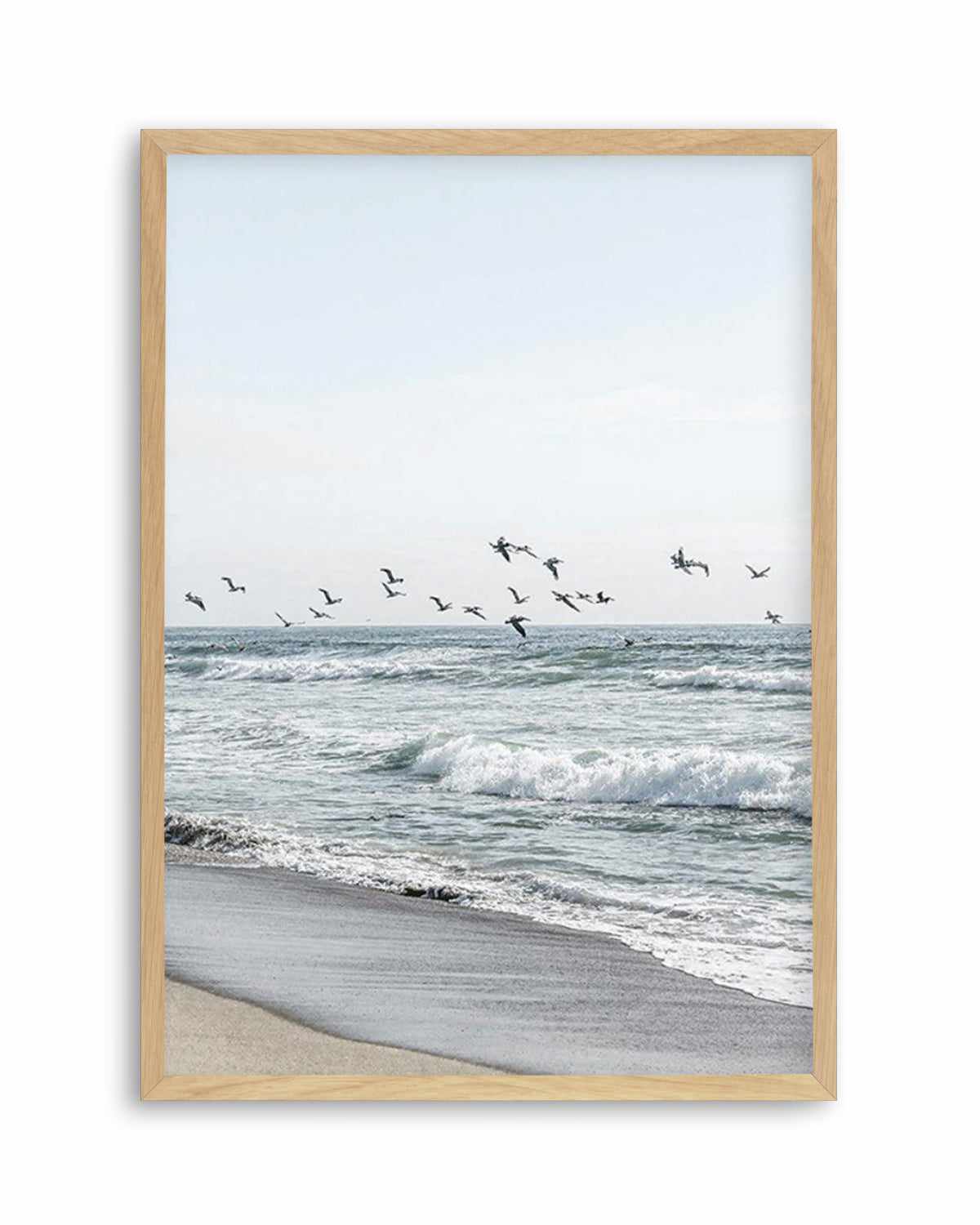 Coastal Birds Art Print