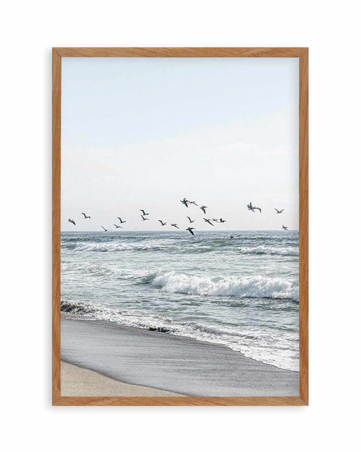 Coastal Birds Art Print