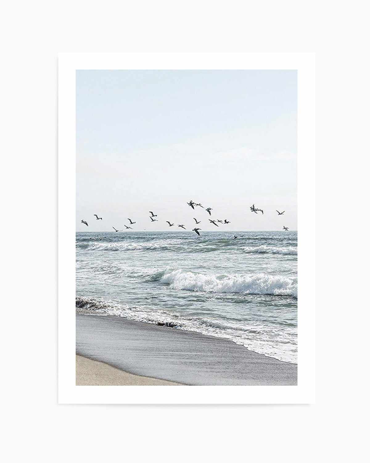 Coastal Birds Art Print