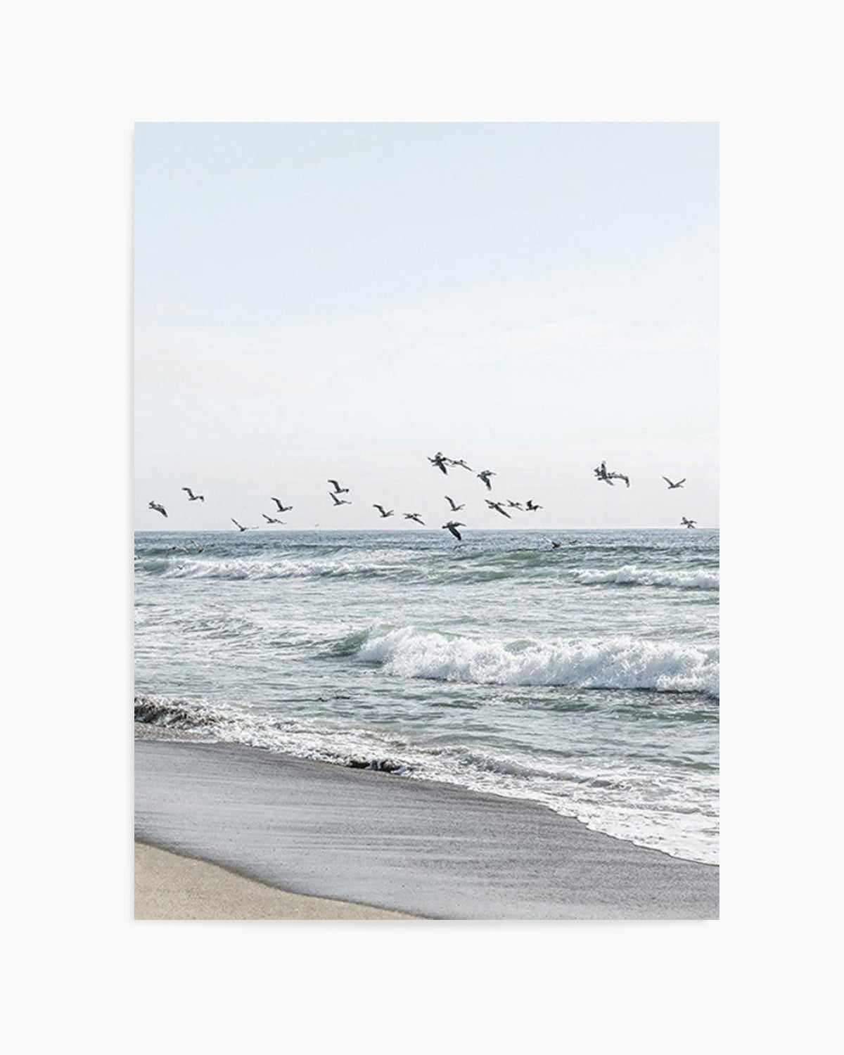 Coastal Birds Art Print