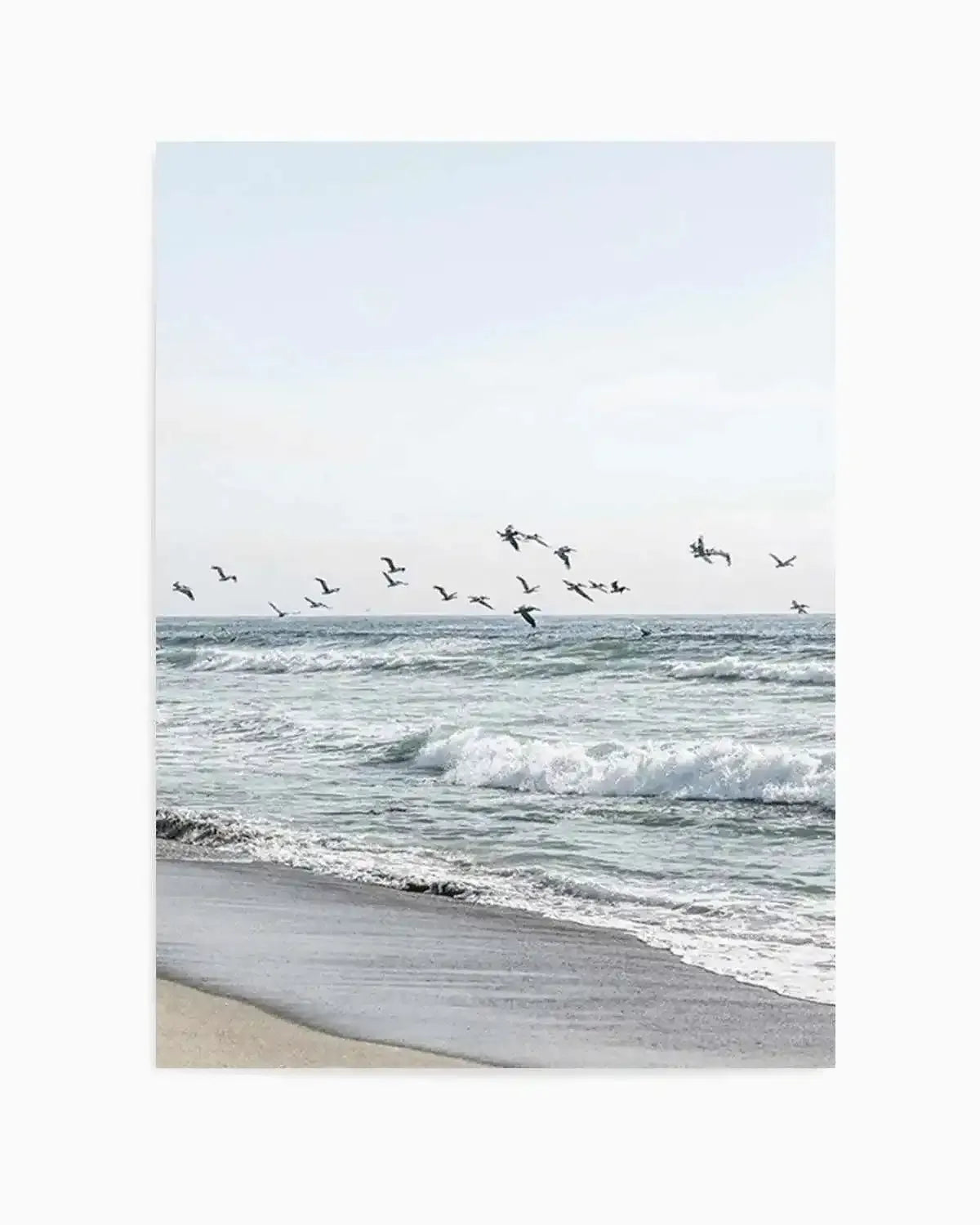 Coastal Birds Art Print from Olive et Oriel where you can shop wallpaper and artworks online