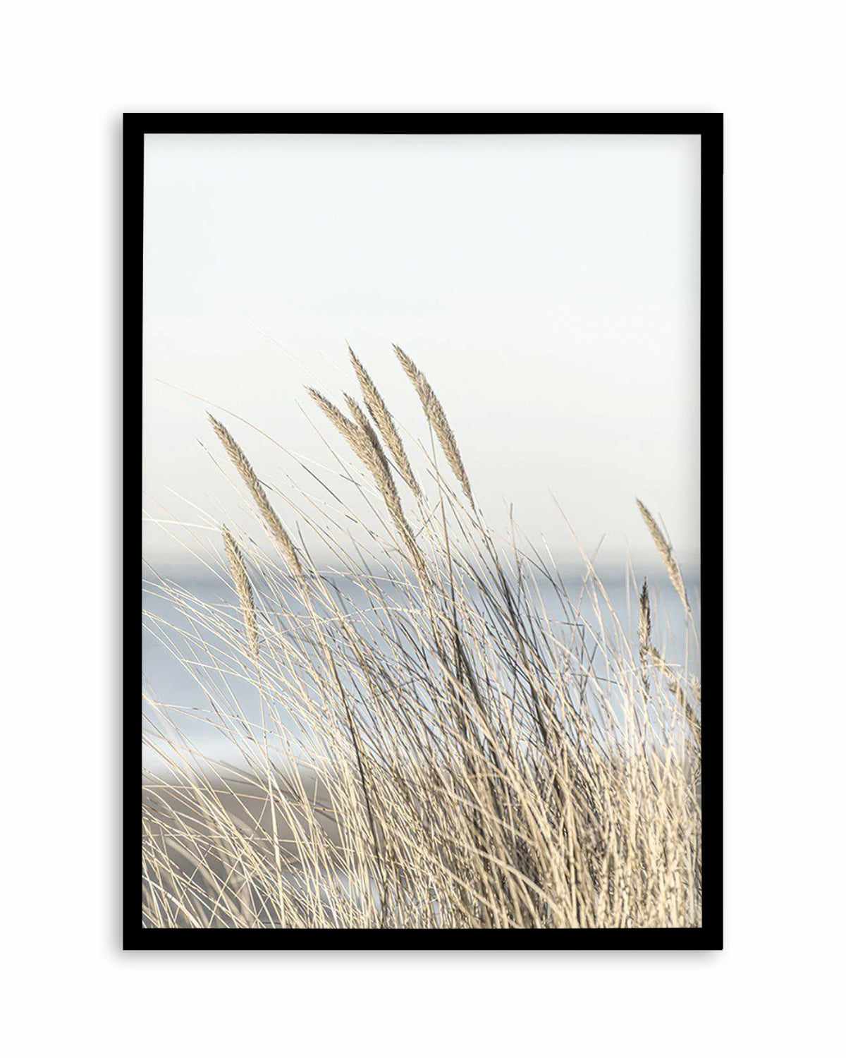 Coastal Grass Art Print