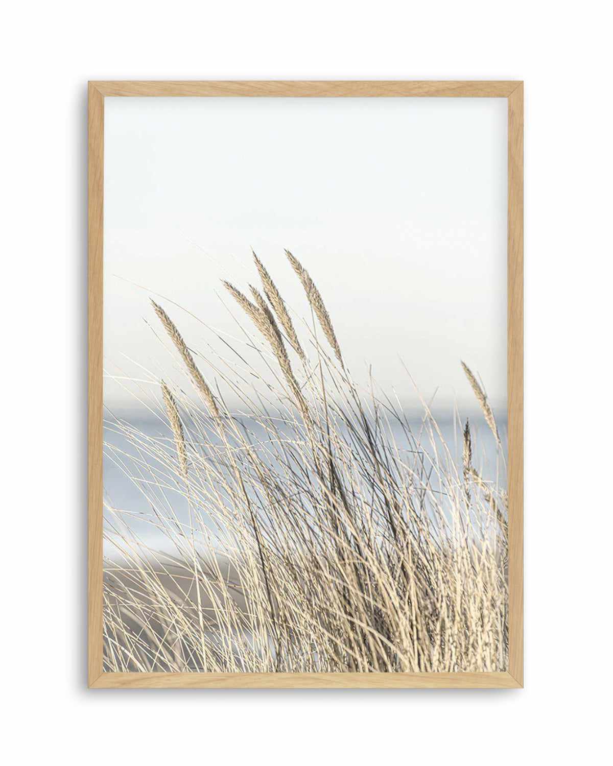 Coastal Grass Art Print